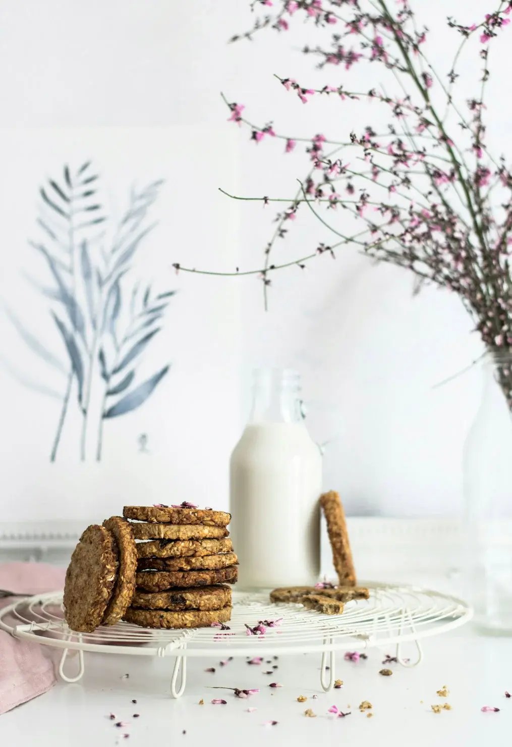 oat-cookies-1